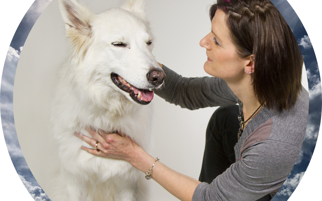 The Voices of the Animals
