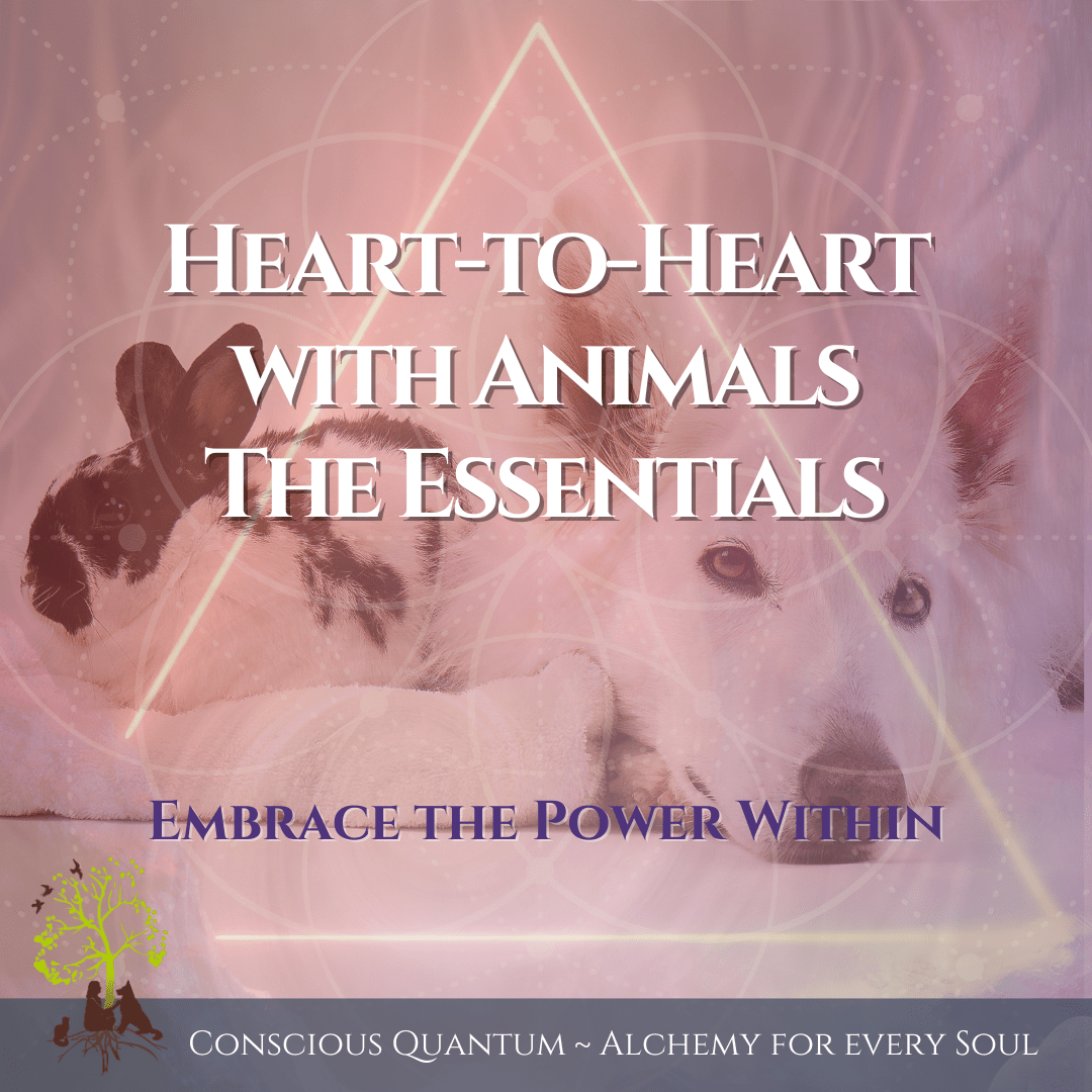 Heart-to-Heart with Animals - The Essentials Heart-to-Heart with Animals - The Essentials