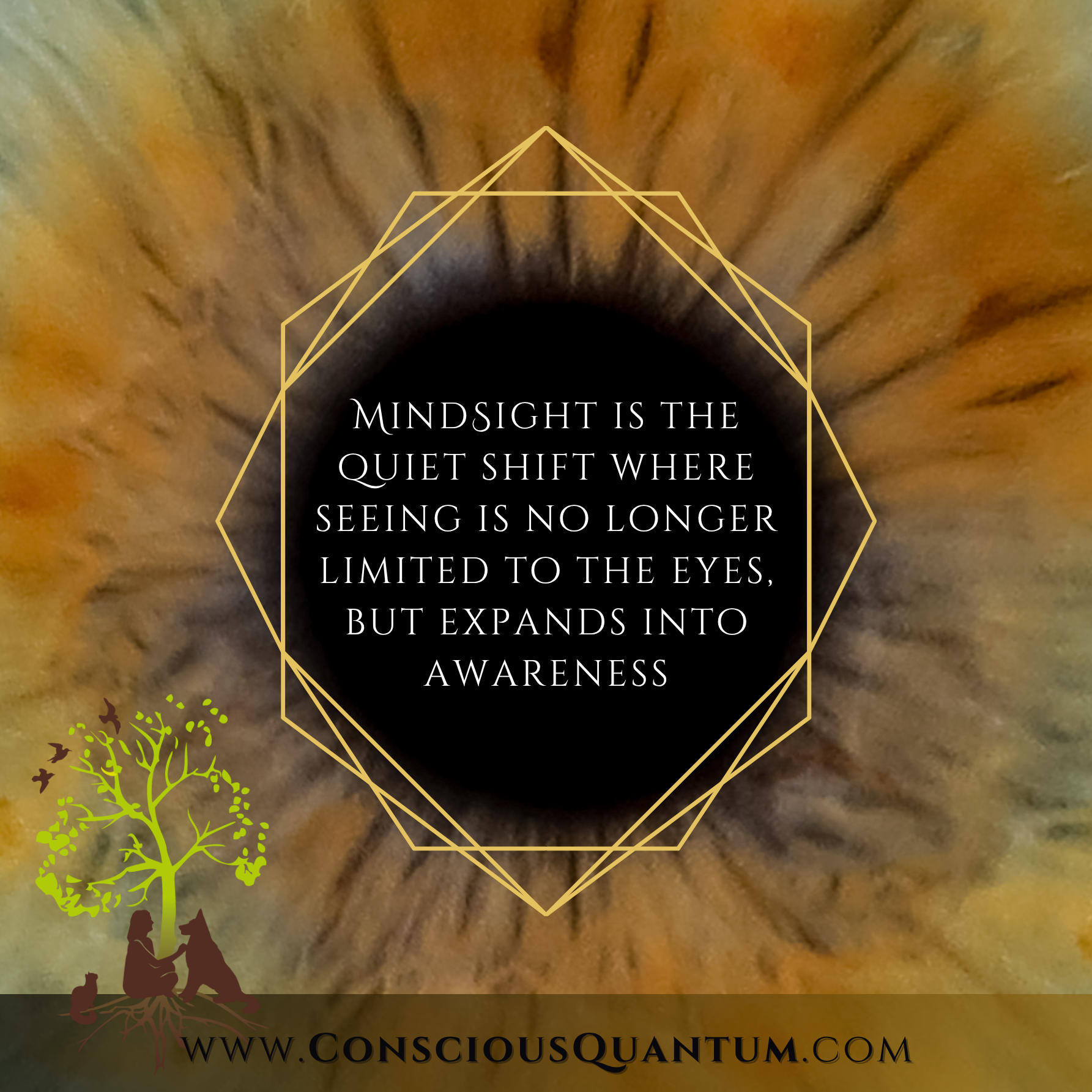 MindSight Training