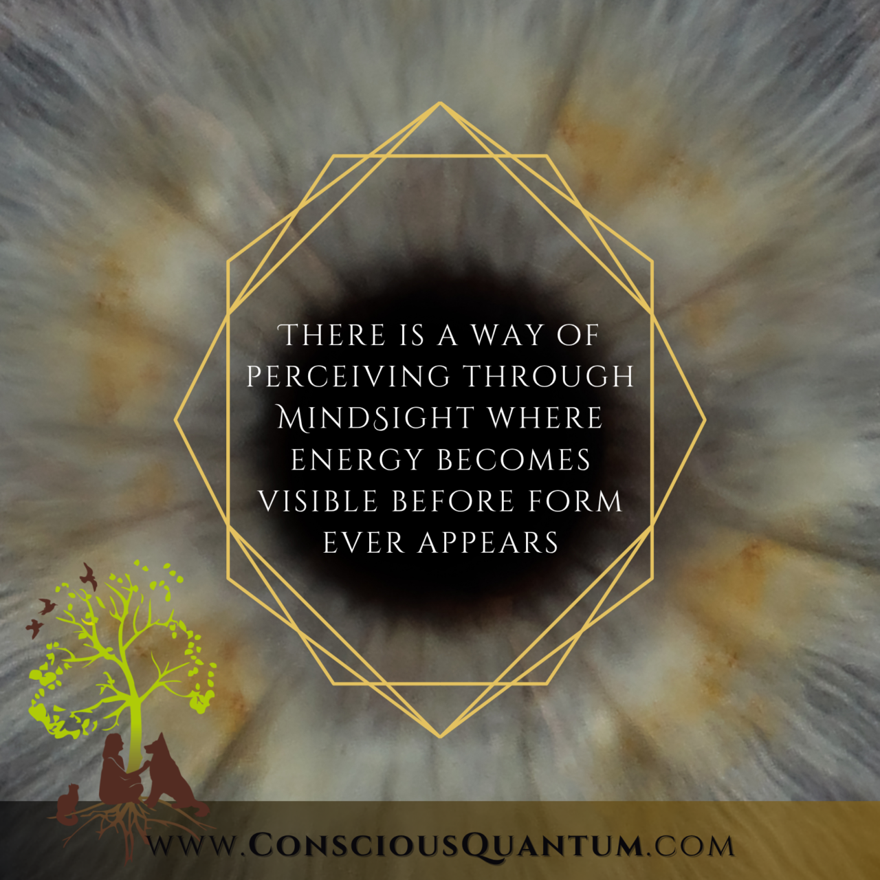 MindSight Training