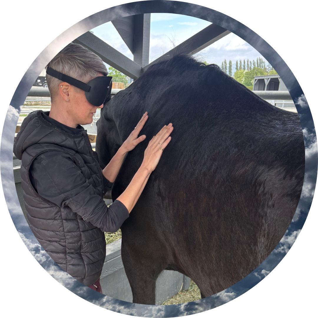 MindSight with Horses
