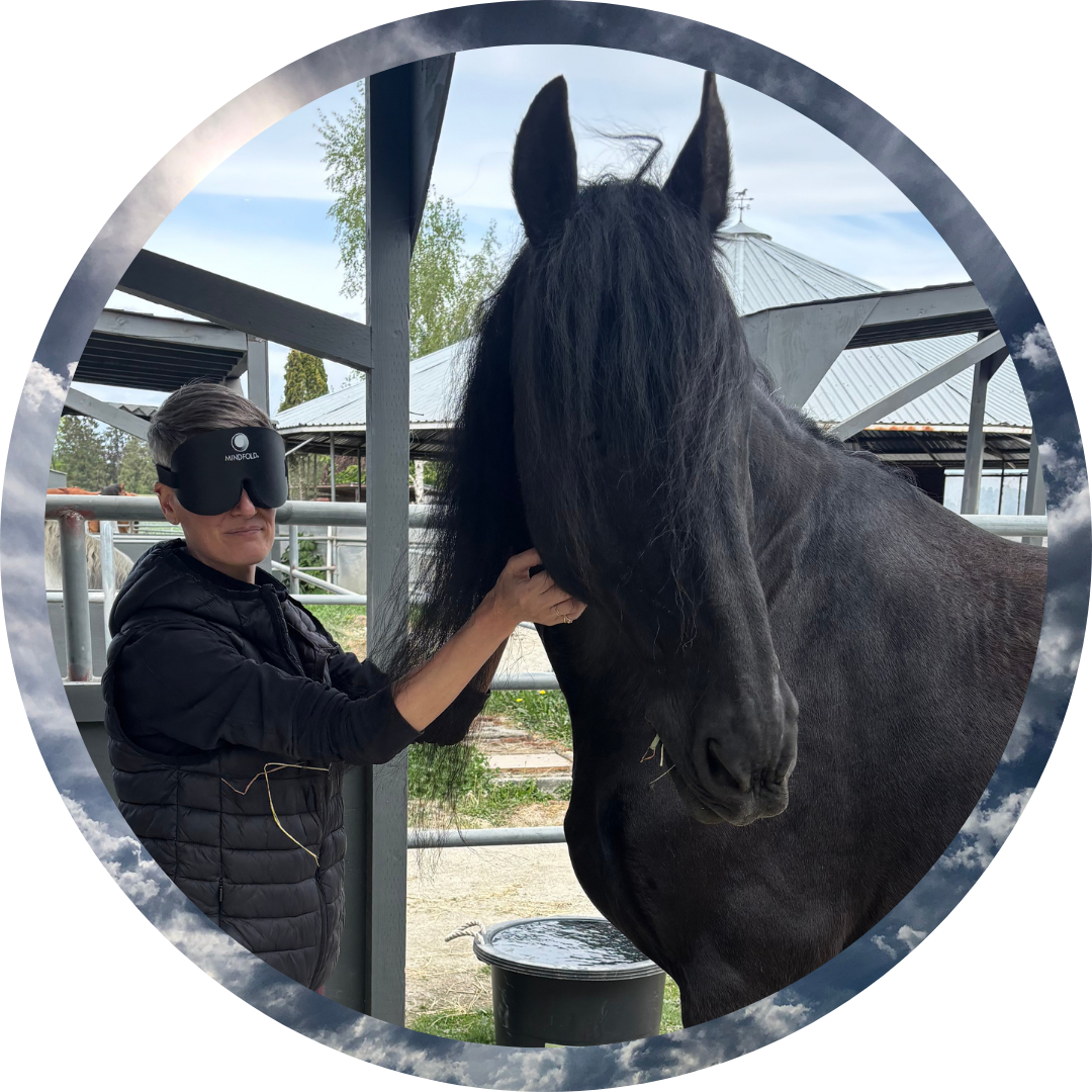 MindSight with Horses